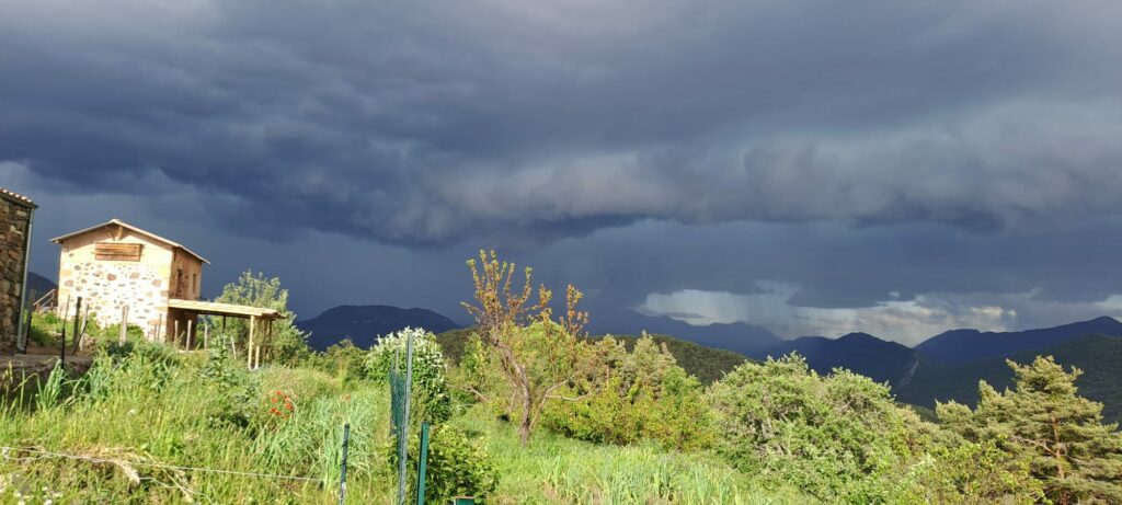 le studio vu du jardin, avec l'auvent de la terrasse.